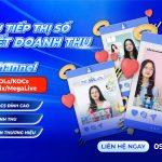LIVE CHANNEL Cam Kết Doanh Thu Với Gói Dịch Vụ Tiếp Thị Số